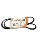 تسمه دینام و هیدرولیک تارا - رایکا آلتون